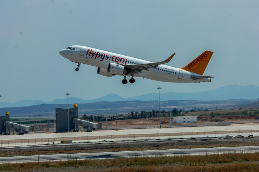 Photo pegasus